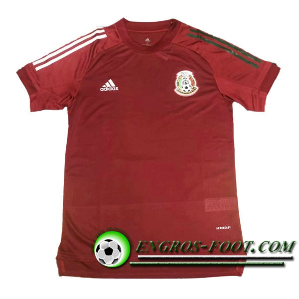 Training T-Shirts Mexique Rouge 2021/2022