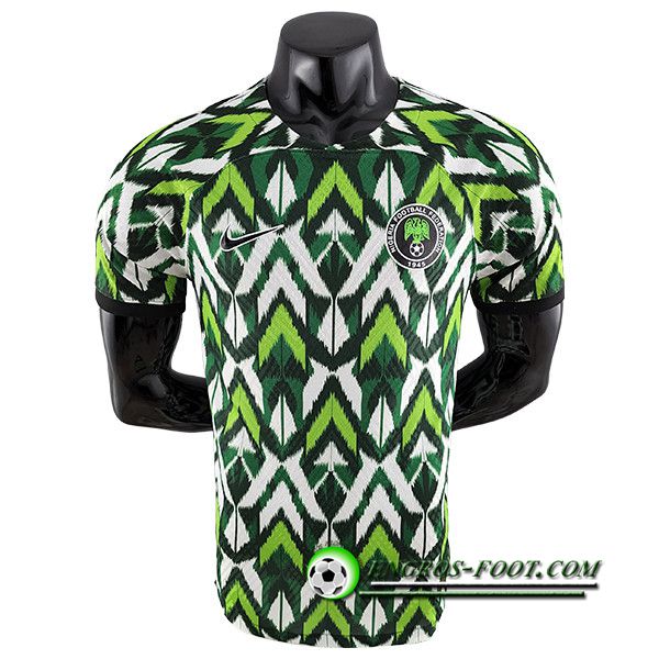 Maillot Equipe Foot Nigeria Blanc/Vert 2022/2023