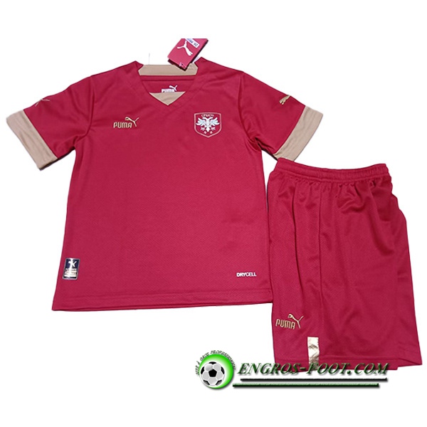 Maillot de Foot Serbie Enfant Domicile Coupe Du Monde 2022