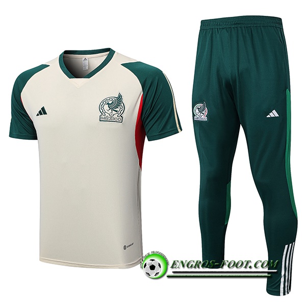 Ensemble Training T-Shirts + Pantalon Mexique Beige 2022/2023