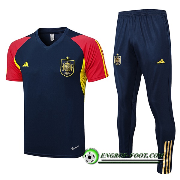 Ensemble Training T-Shirts + Pantalon Espagne Bleu Marine 2023/2024
