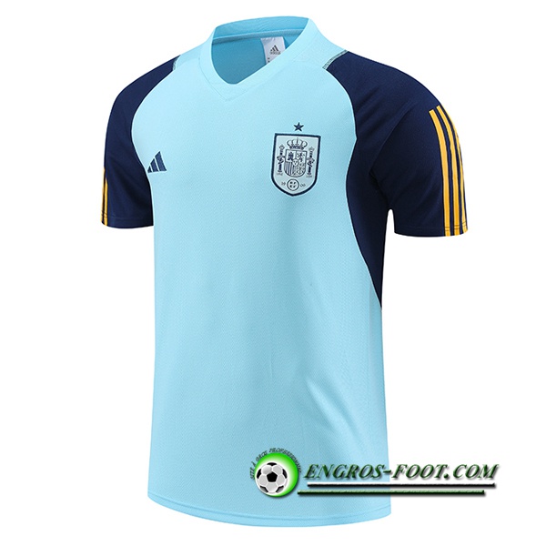 Training T-Shirts Espagne Bleu Clair 2023/2024