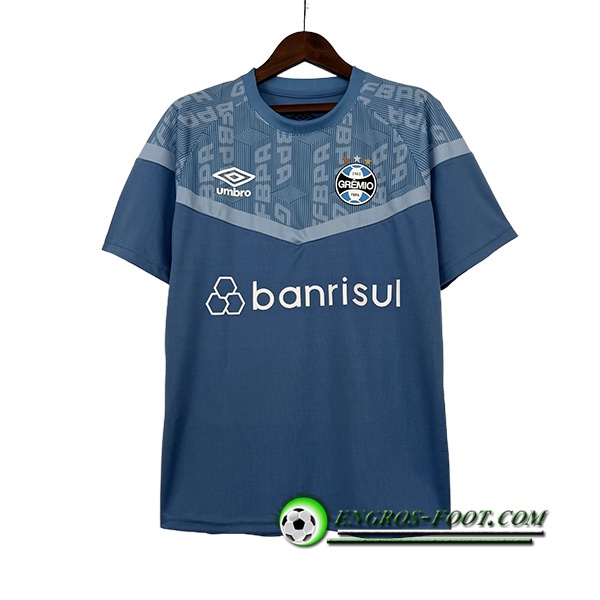Training T-Shirts Guilde Bleu 2023/2024