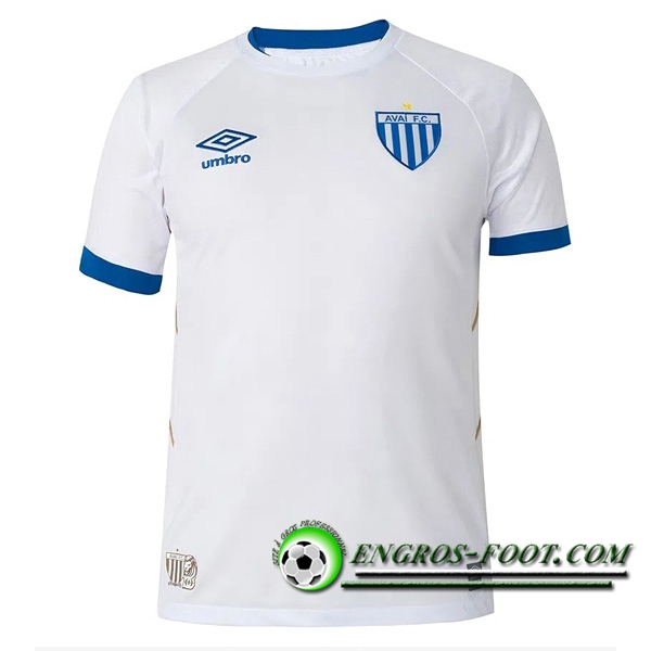 Maillot de Foot Avai Exterieur 2023/2024