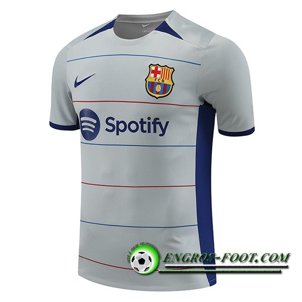 Training T-Shirts FC Barcelone Gris 2023/2024 -03