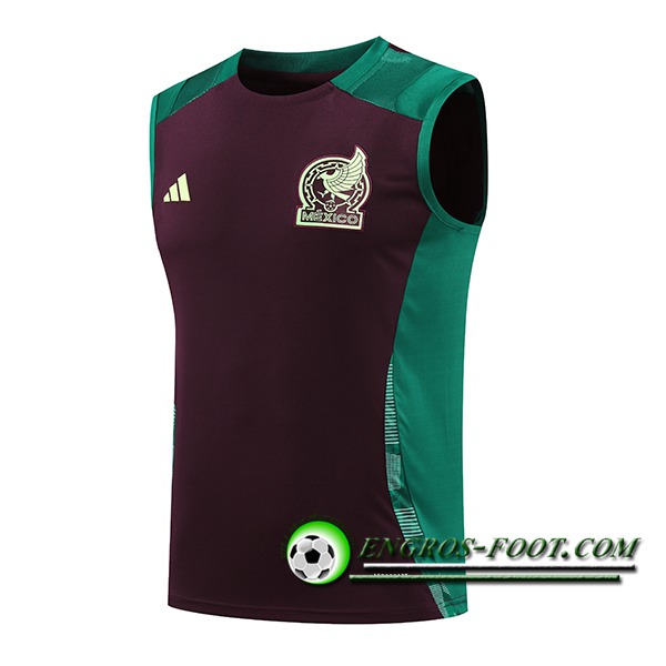 Training Debardeur Mexique Vert/Brun 2024/2025