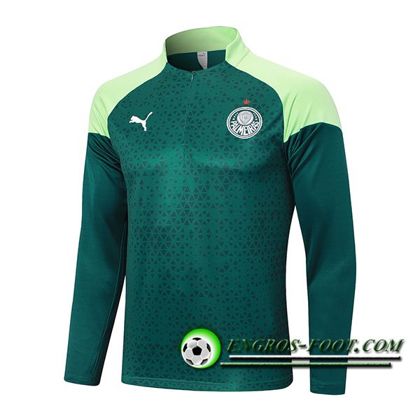 Sweatshirt Training Palmeiras Vert 2024/2025
