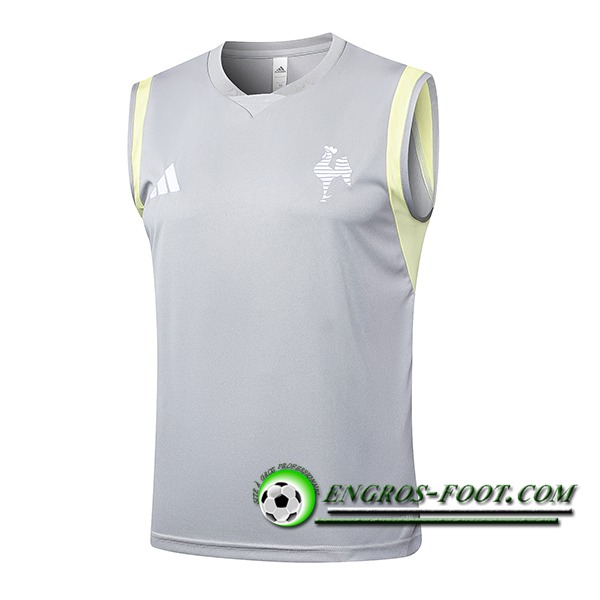 Training Debardeur Atletico Mineir Gris Clair 2024/2025