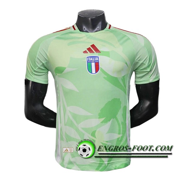 Training T-Shirts Italie Vert 2025/2026
