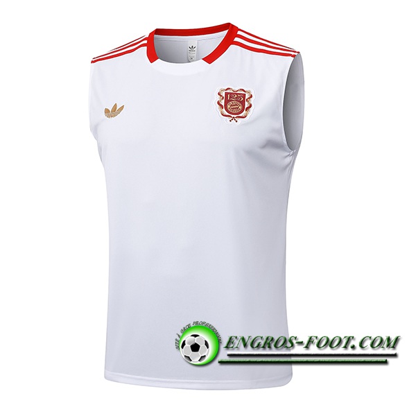 Training Debardeur Bayern Munich Blanc/Rouge 2025/2026