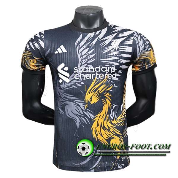 Training T-Shirts FC Liverpool Gris/Jaune 2025/2026