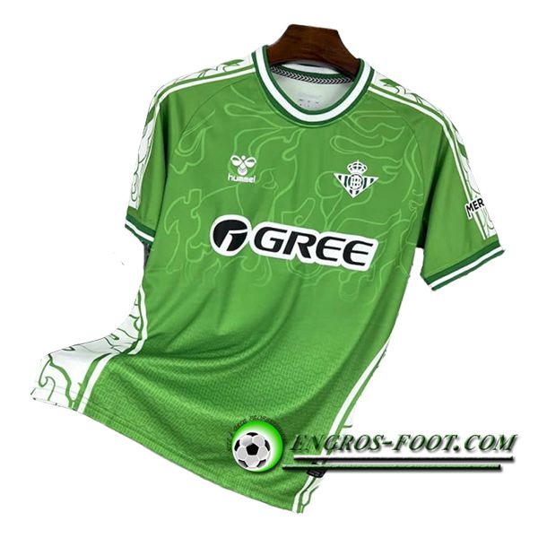 Training T-Shirts Real Betis Vert/Blanc 2025/2026