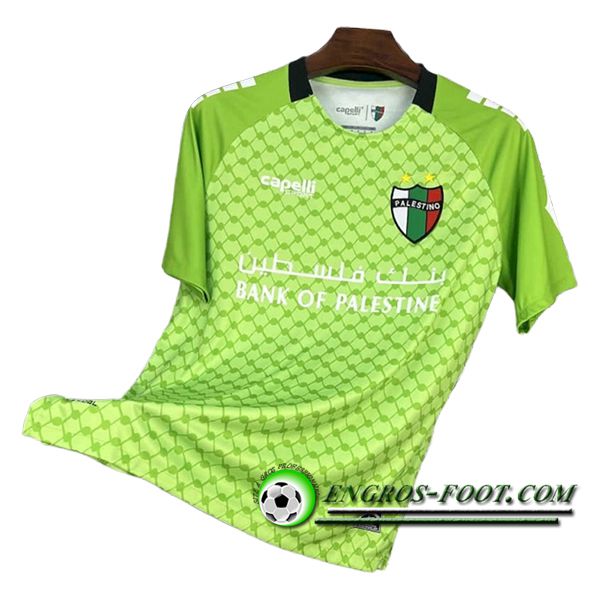 Training T-Shirts Palestino Vert 2025/2026