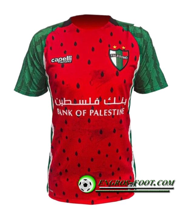 Nouveau Maillot de Foot Palestino Third 2025/2026