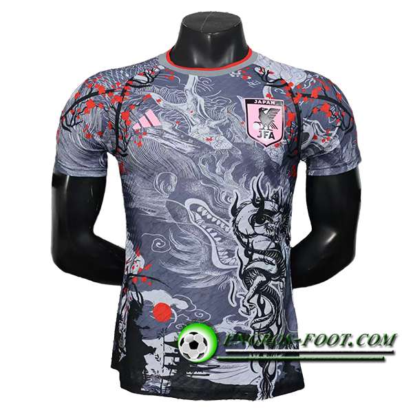 Maillot Equipe Foot Japon Special Edition Gris 2025/2026